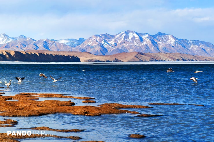 Manasarovar lake in Tibet