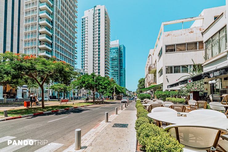 Rothschild Boulevard in Tel Aviv
