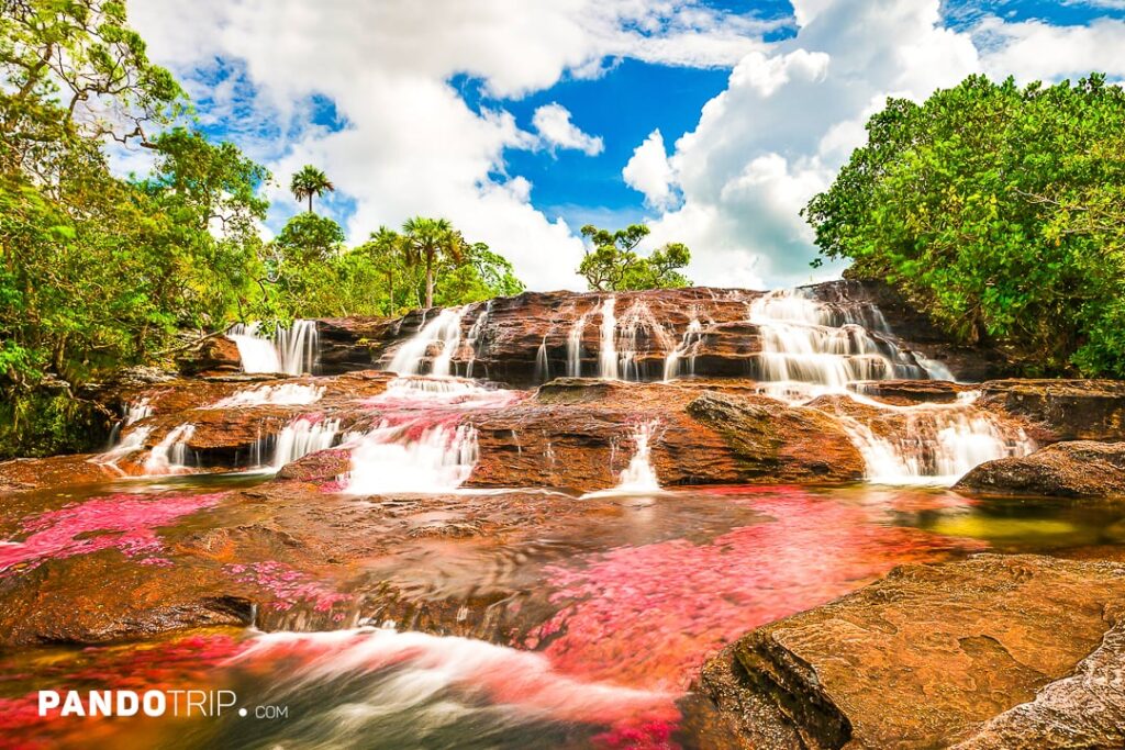 River of Five Colors - Cano Cristales