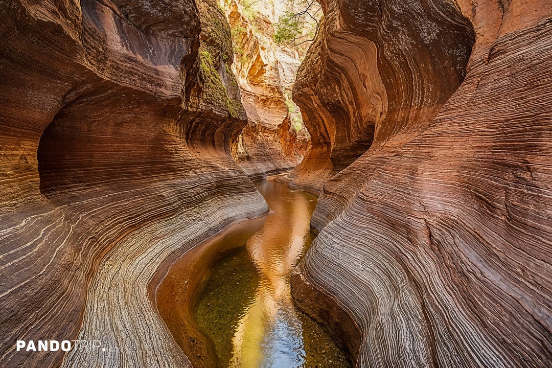 North Creek