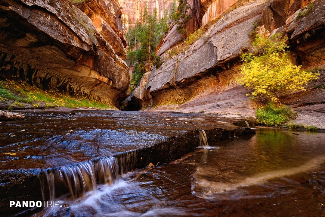 The Subway, Left Fork, Zion National Park