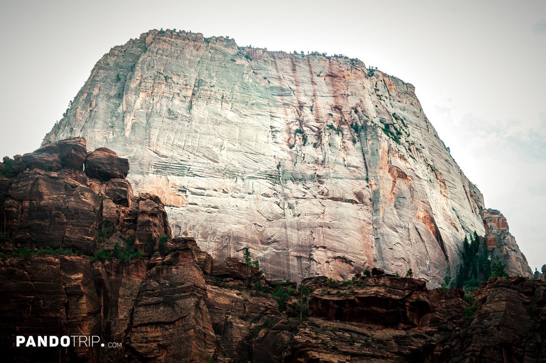 Vertical cliff face of The Great White Throne with rugged rock textures in Zion National Park