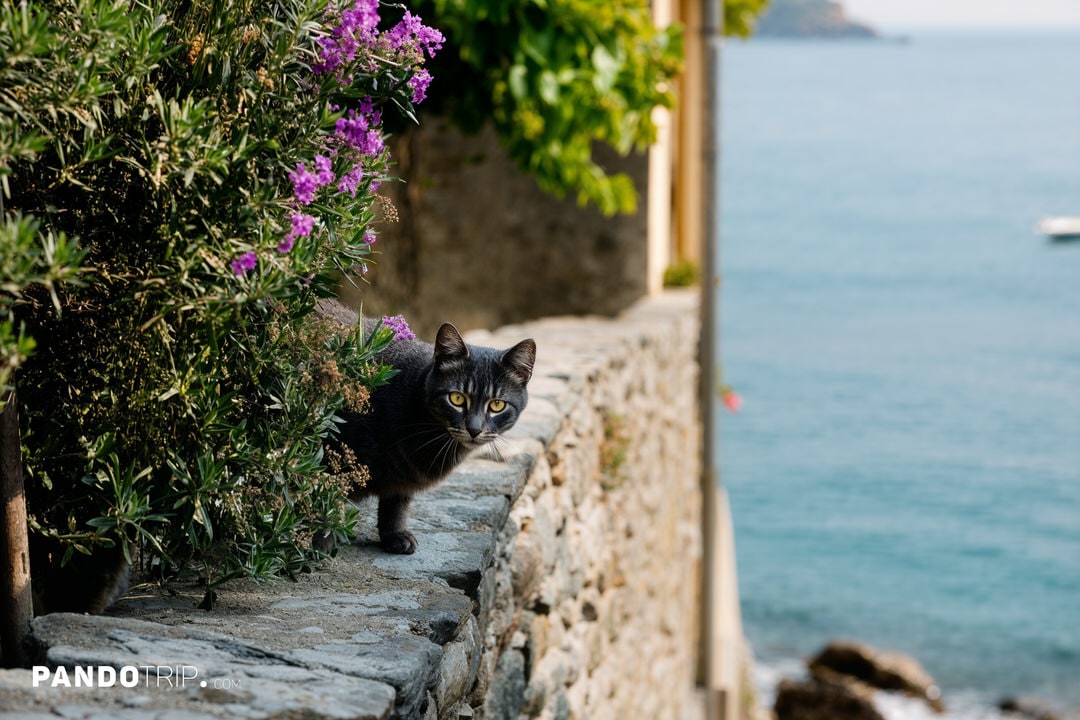 A black cat peeking through purple flowers on a stone wall in Vernazza with the sea in the background