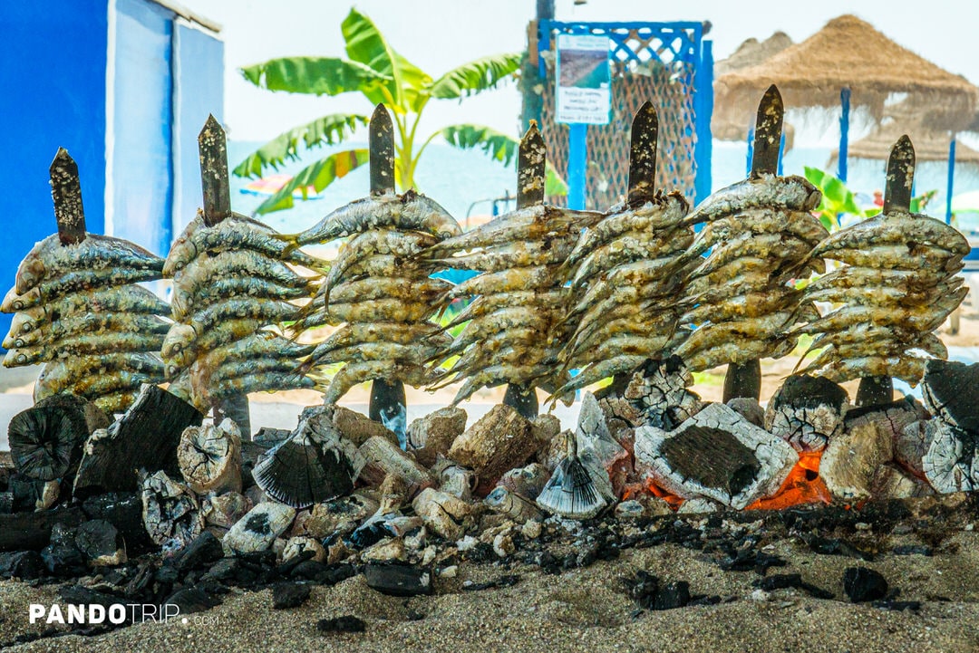 Traditional skewers of sardines (espetos) grilling over open firewood on a beach
