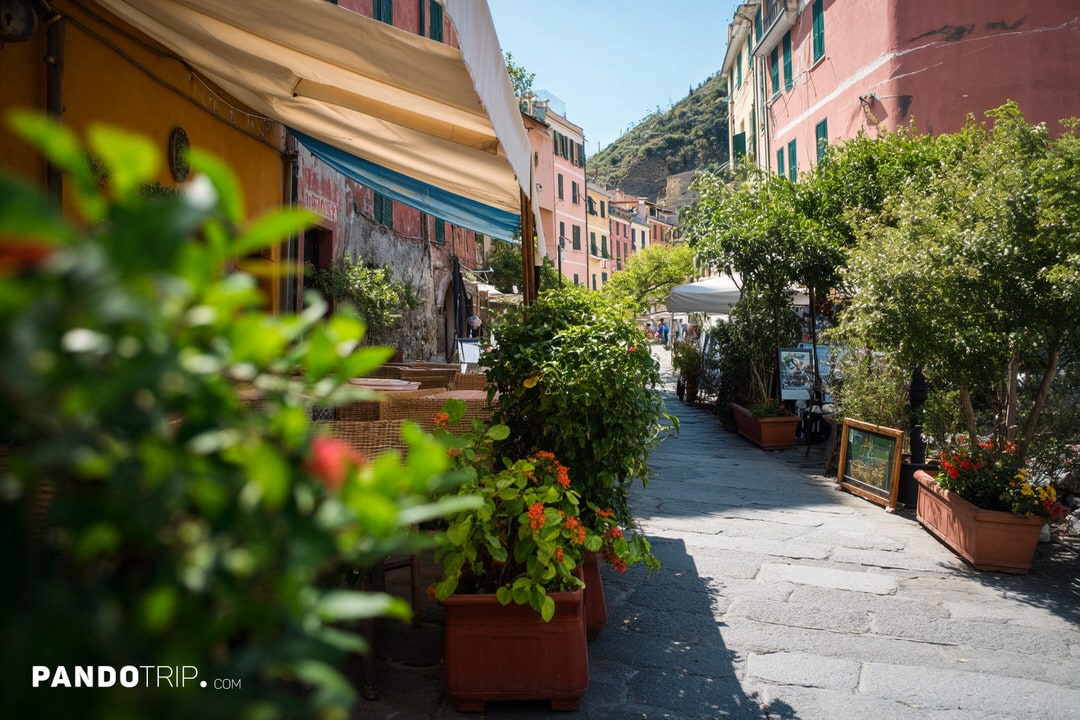 Shaded outdoor café area surrounded by potted plants in Vernazza, with pastel buildings in the background