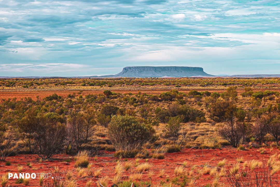 Distant view of Mount Conner rising from the flat desert landscape under a cloudy sky