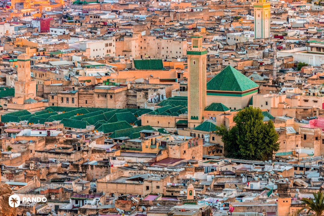 Aerial view over the dense rooftops of Fes el-Bali with green-tiled mosques scattered throughout the medina