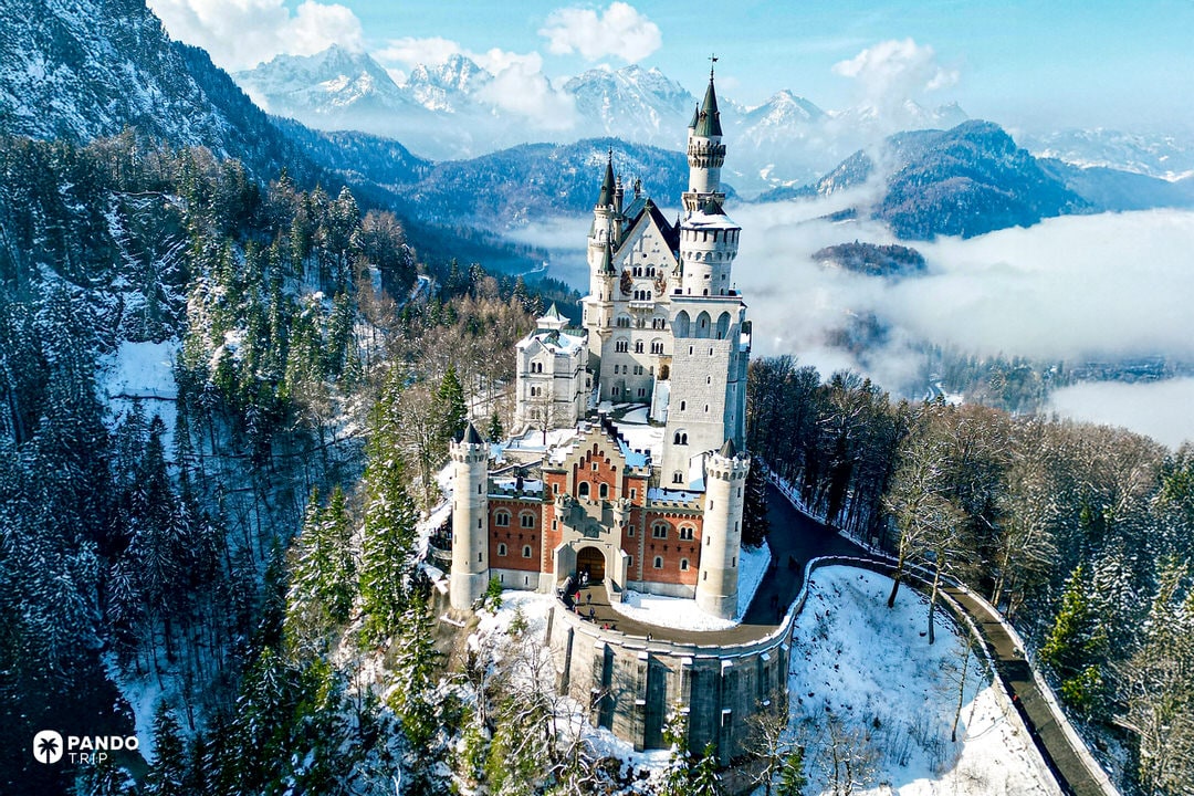 Snow-dusted Neuschwanstein Castle perched above the Bavarian Alps with morning mist and fir trees.