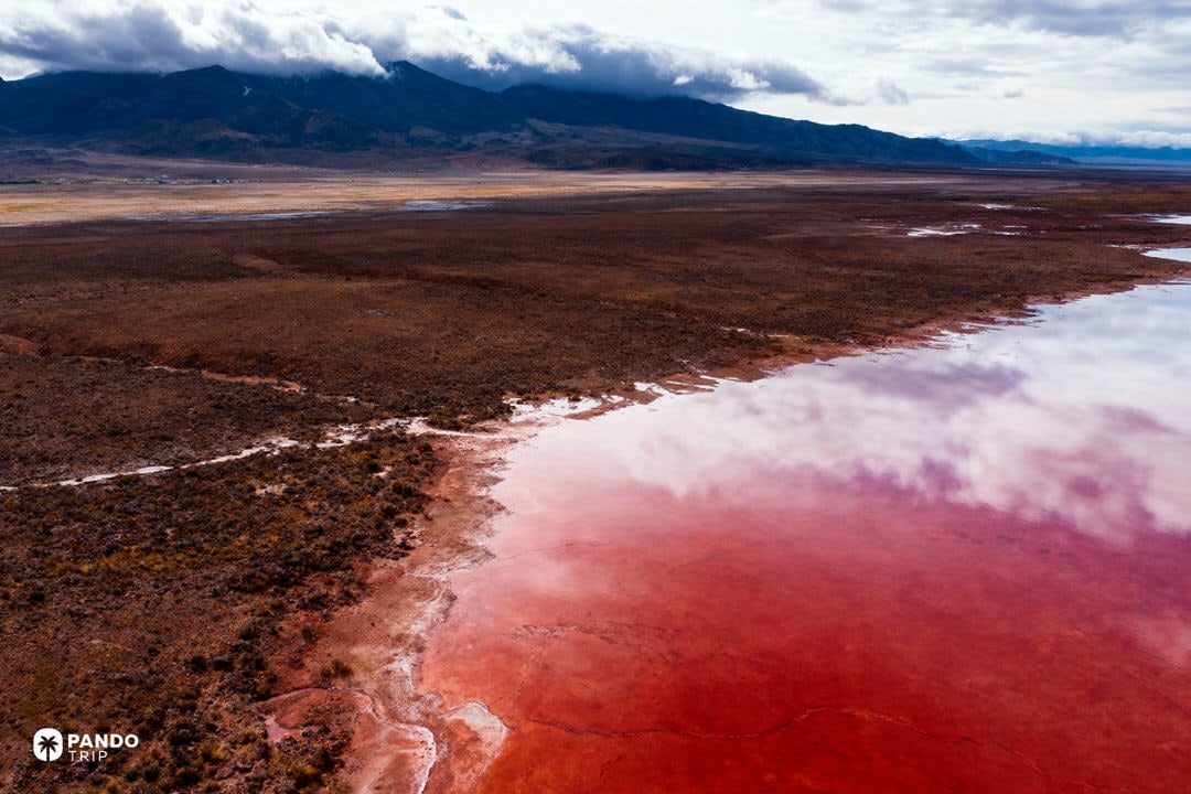 Salt-crusted shoreline and crimson water at Lake Natron, Tanzania.