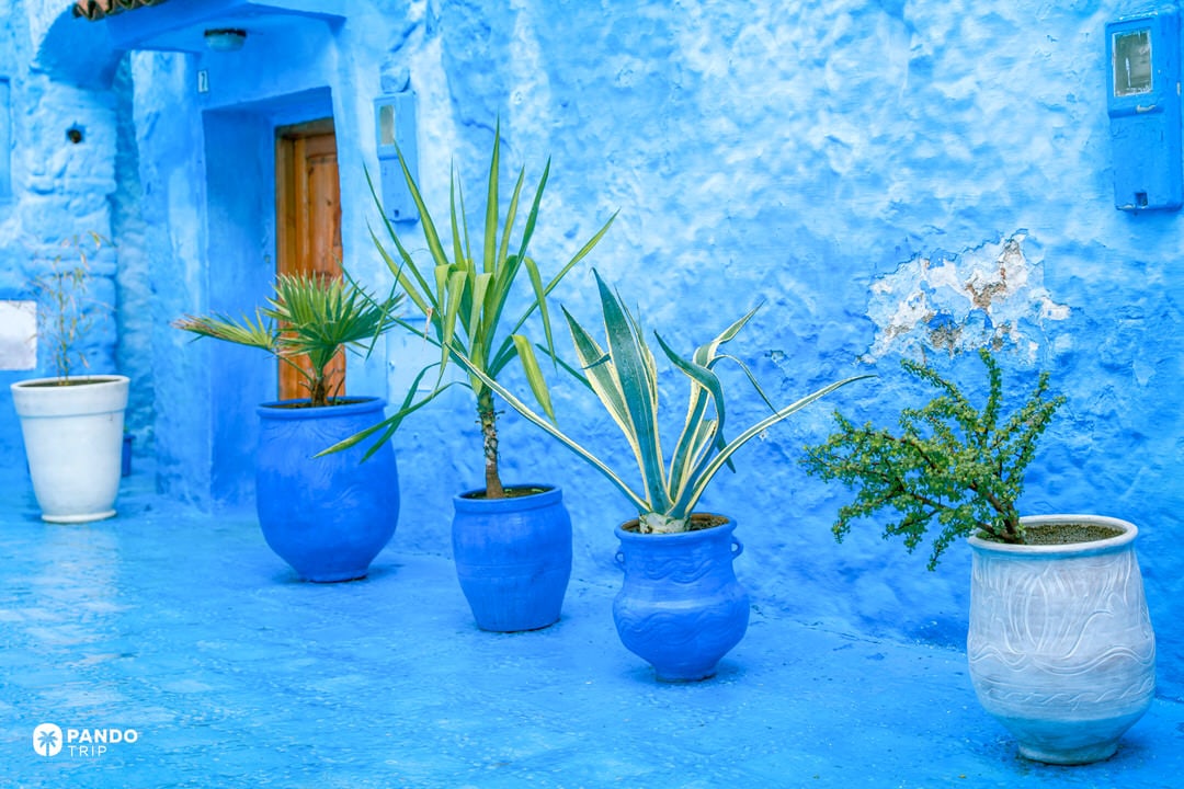 Decorative blue pots with plants against painted blue walls in Chefchaouen