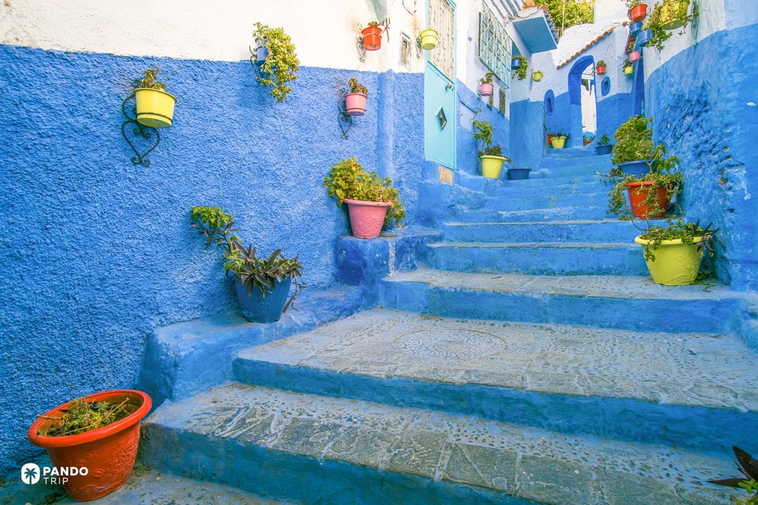Blue-painted steps in Chefchaouen decorated with colorful flower pots