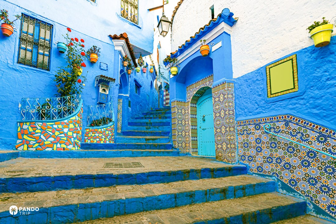 Colorful staircase with blue walls, tiled patterns, and potted plants in Calle Sidi Bouchouka, Chefchaouen