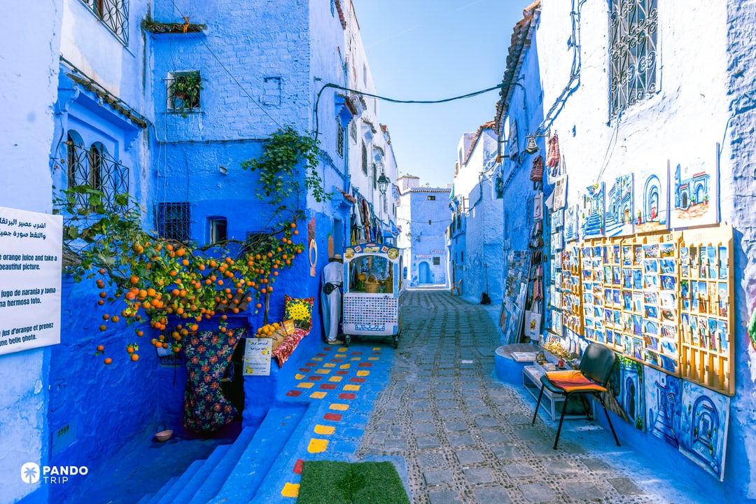 Colorful orange juice stall in Chefchaouen with artificial orange tree and yellow bench against bright blue walls