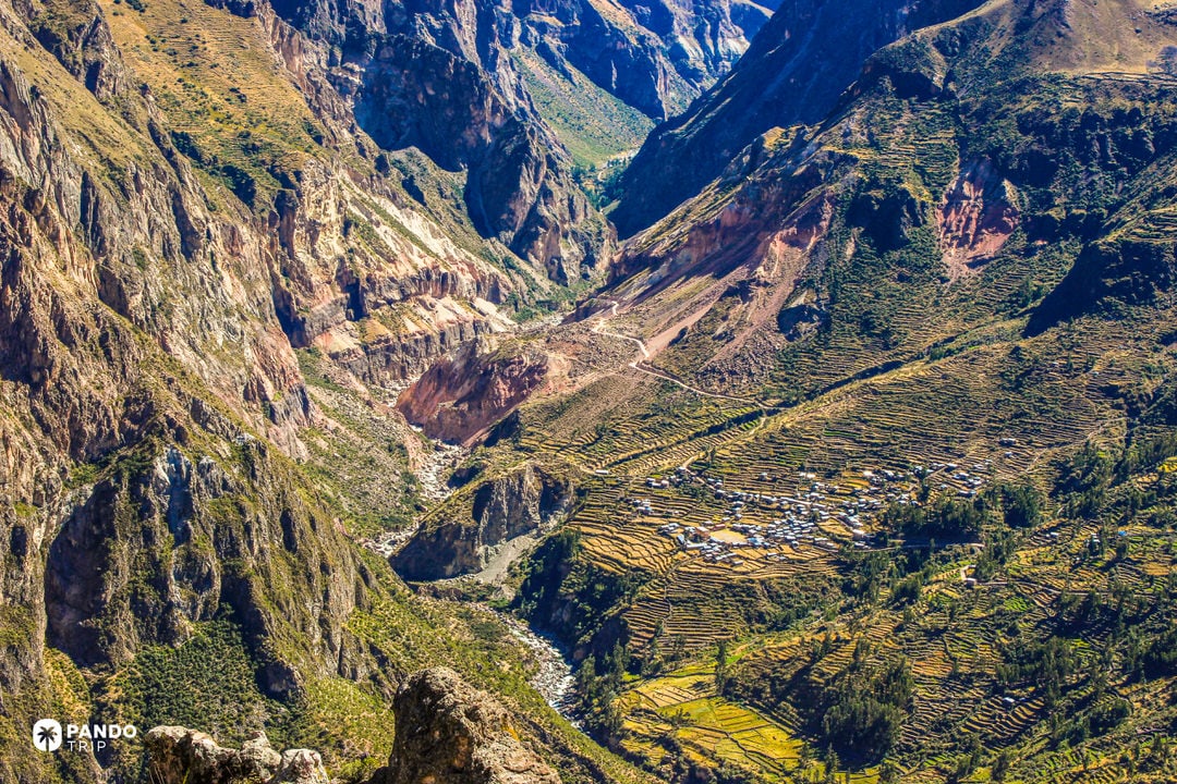 Terraced fields and a small village tucked into Cotahuasi Canyon, Peru, beneath sheer volcanic walls along the river floor.