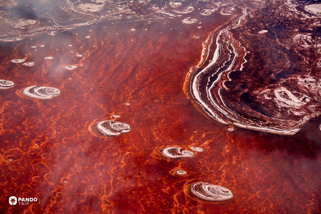 Aerial flight over polygon salt patterns on Lake Natron’s red surface.