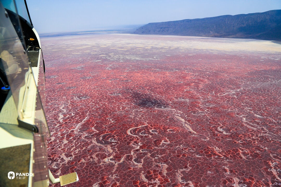 Aerial view of Lake Natron’s red edge meeting the Rift Valley plain.