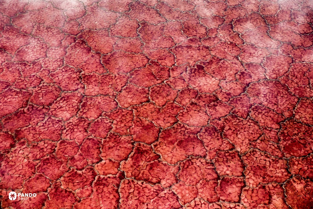 Close aerial of red polygon patterns formed by evaporation on Lake Natron.