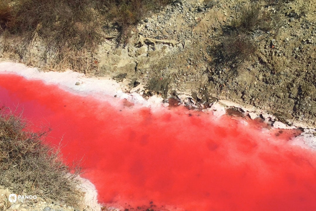 Small red channel with white soda rim near Lake Natron’s shoreline.