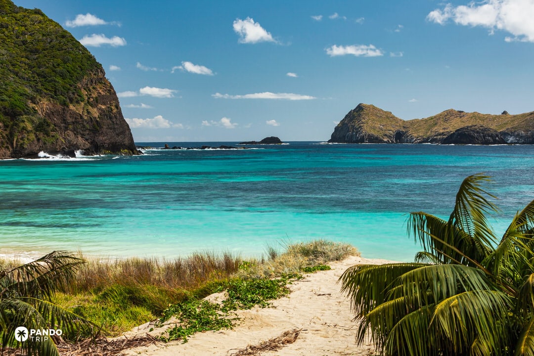 Ned’s Beach with turquoise water and coral reefs near Sugarloaf Island, Lord Howe Island