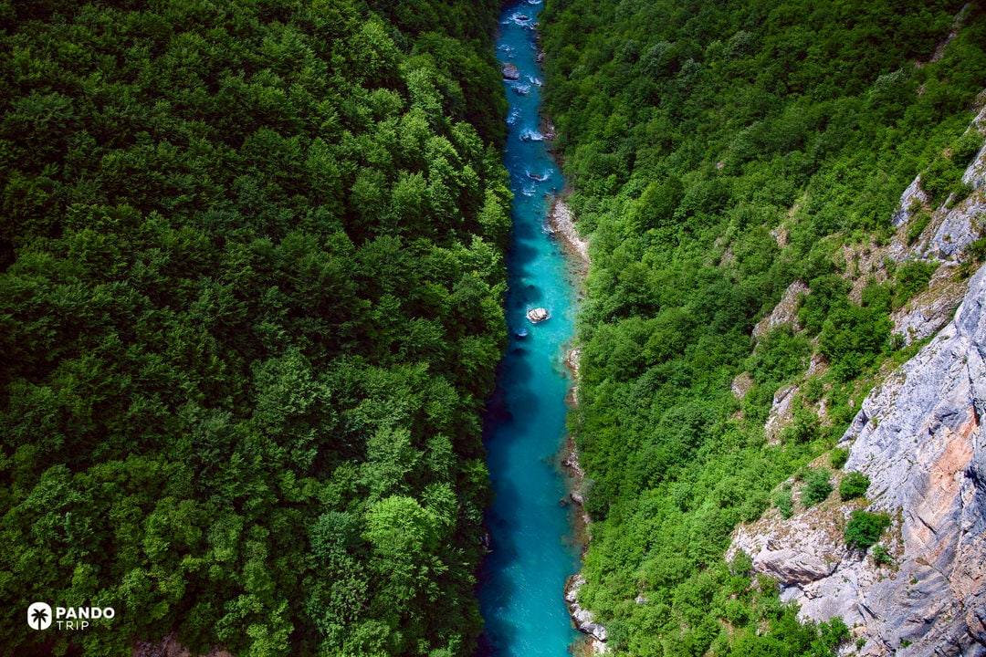 Narrow, forested Tara River Canyon in Durmitor National Park, Montenegro; vivid turquoise channel contrasts with steep limestone cliffs.